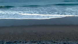 Shores of the Same Sea