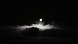 Autorizovaná reprezentace