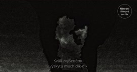 Náhledové video