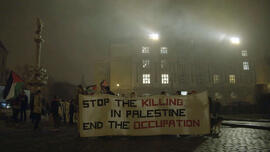 Náhledová fotografie