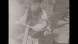 Autorizovaná reprezentace