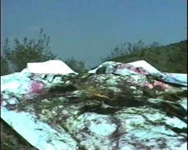 Náhledová fotografie 04