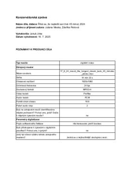 Konzervátorská zpráva