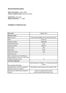 Konzervátorská zpráva