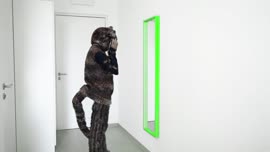 Autorizovaná reprezentace