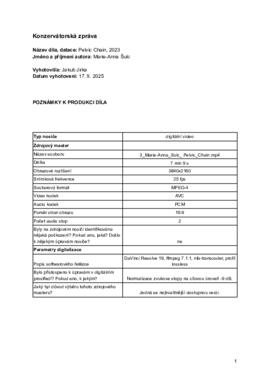 Konzervátorská zpráva