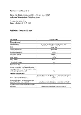 Konzervátorská zpráva