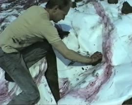 Autorizovaná reprezentace zkrácené verze