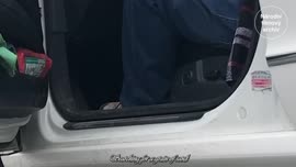 Náhledové video