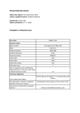 Konzervátorská zpráva