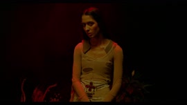 Autorizovaná reprezentace